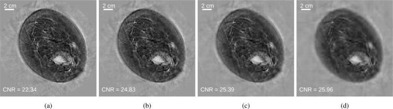 Fig. 19