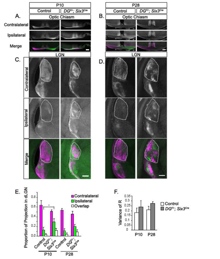 Figure 4: