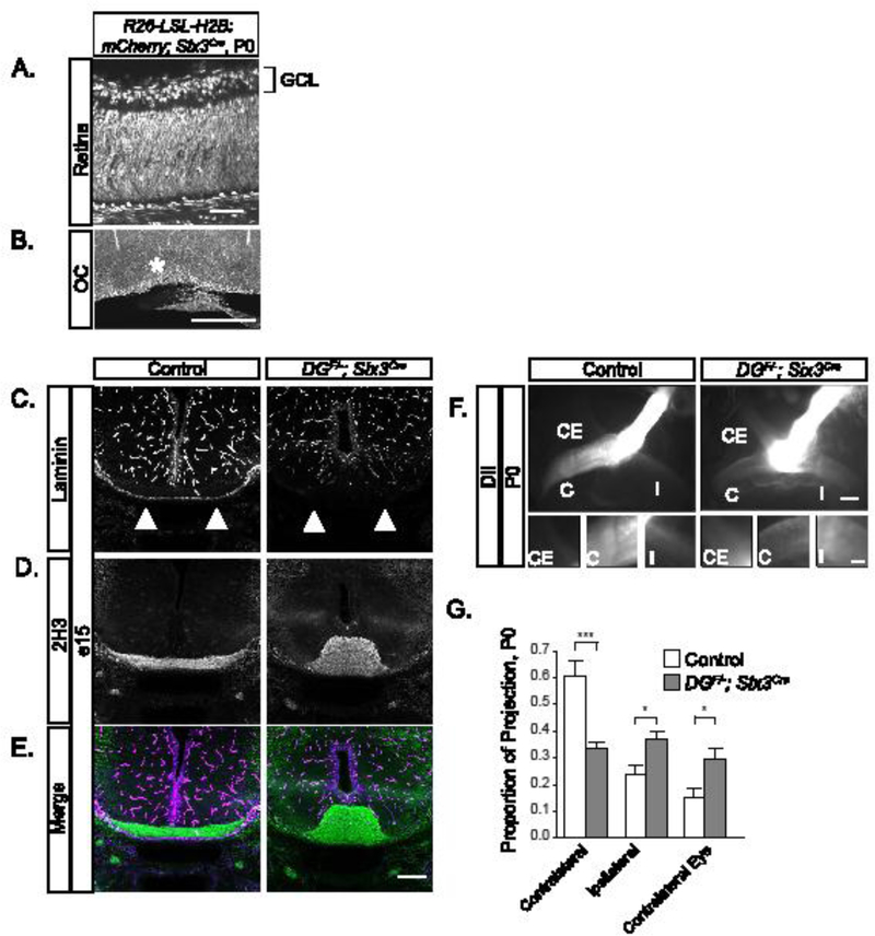 Figure 2: