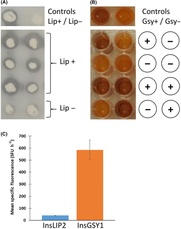 Figure 4