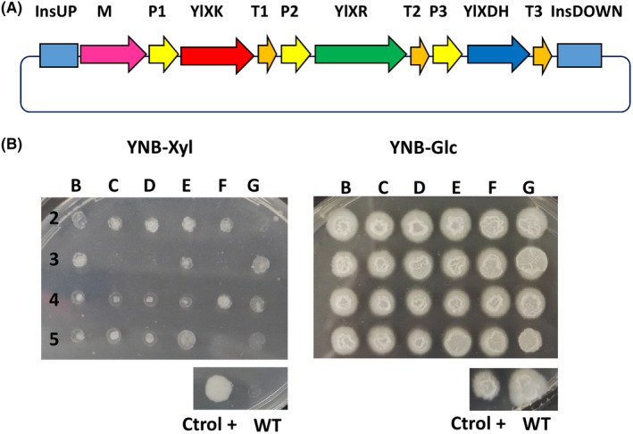 Figure 6