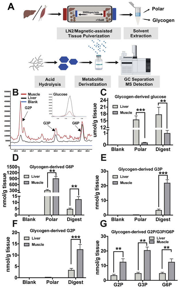 Figure 4: