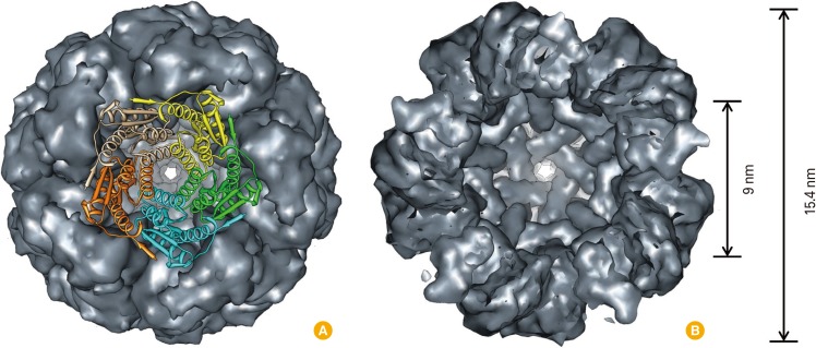 Fig. 1