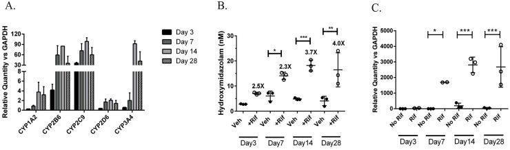 Fig 6