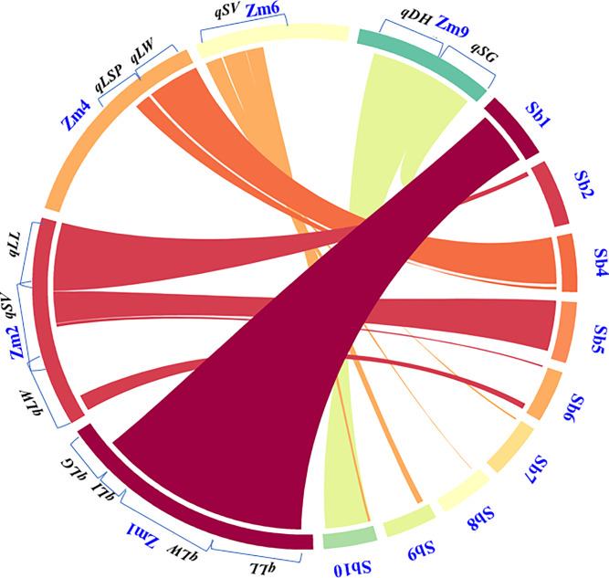 Fig 6