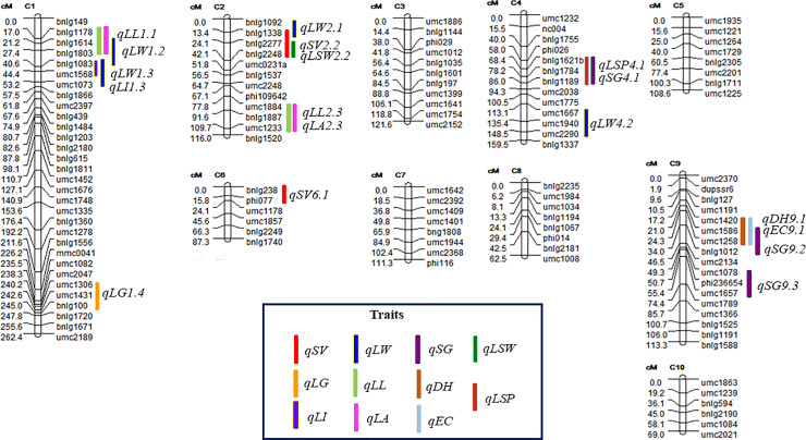 Fig 3