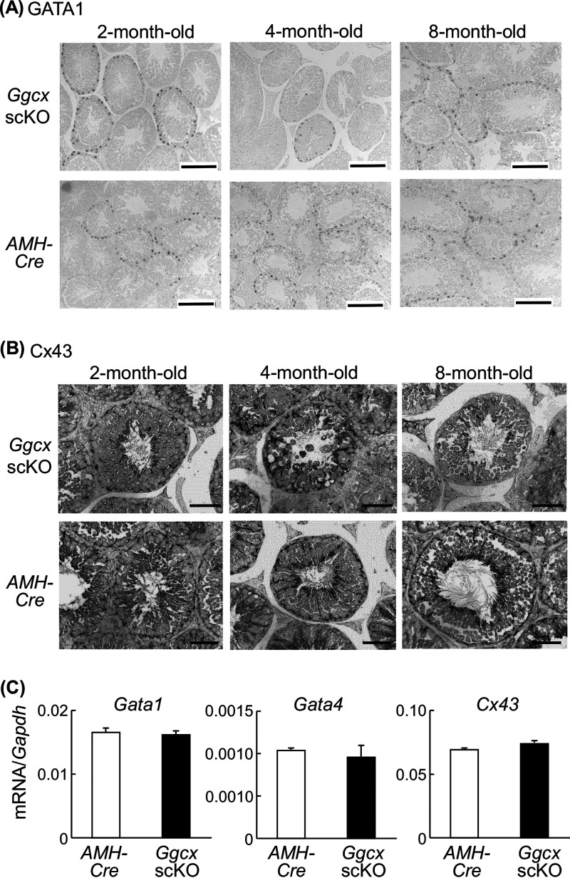 FIG 6