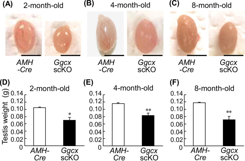 FIG 2