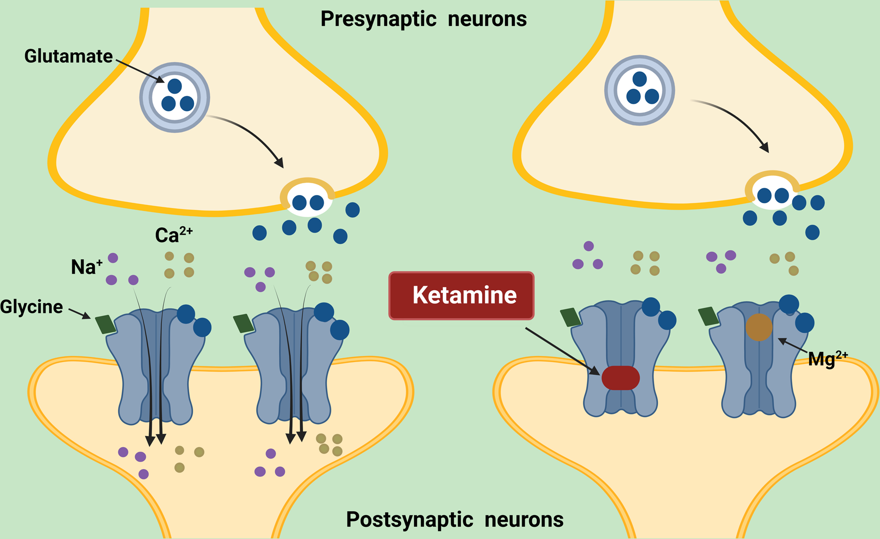 Figure 1: