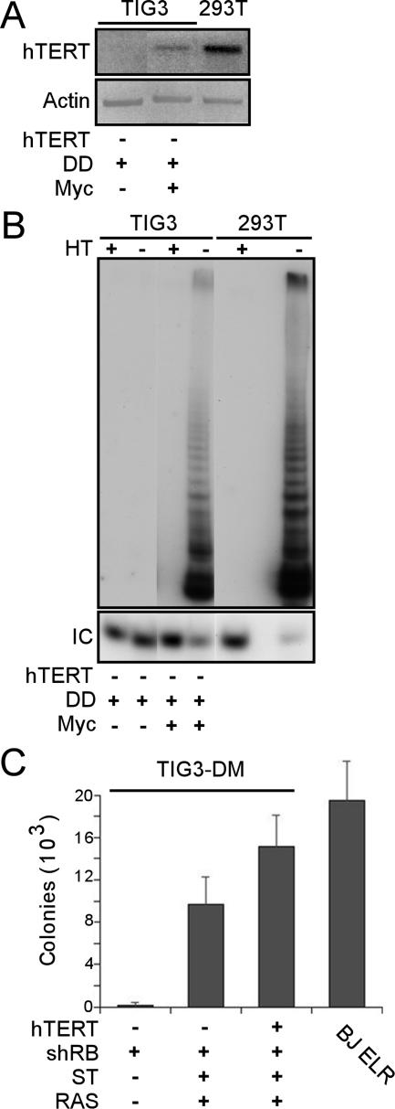 FIG. 5.