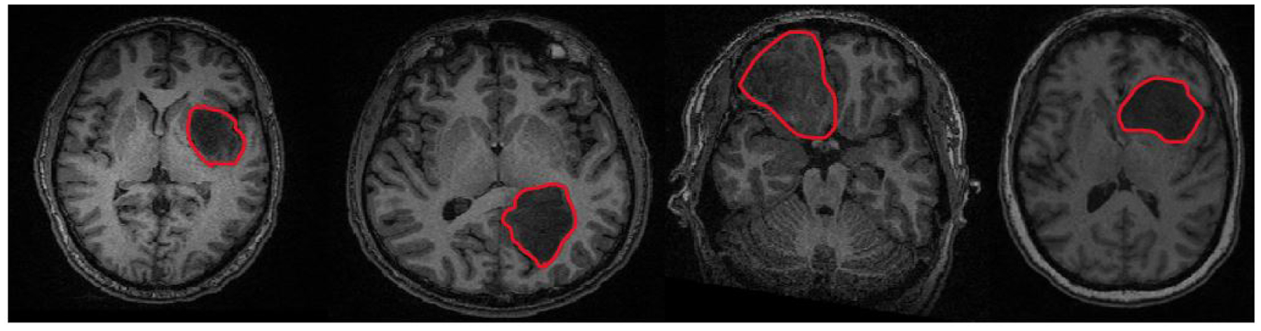 Figure 1: