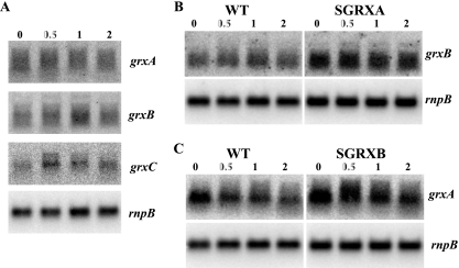 FIG. 5.