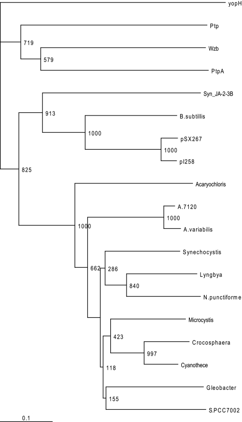 FIG. 7.