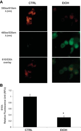 Fig. 6.