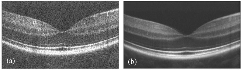 Fig. 6