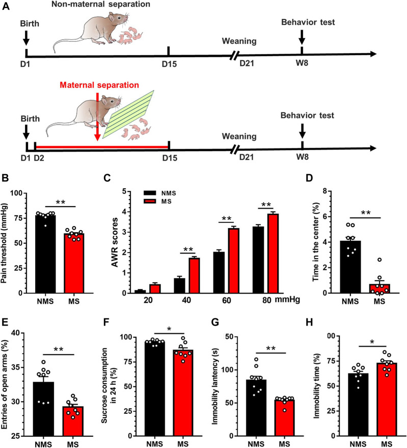 FIGURE 1