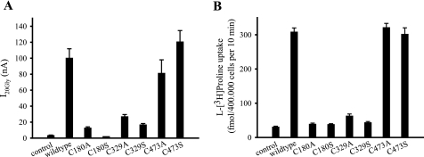 FIGURE 4.