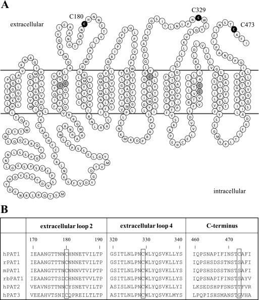 FIGURE 3.