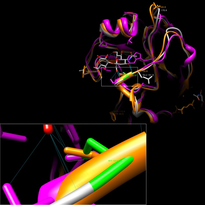 FIG 5 