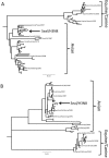FIG 4
