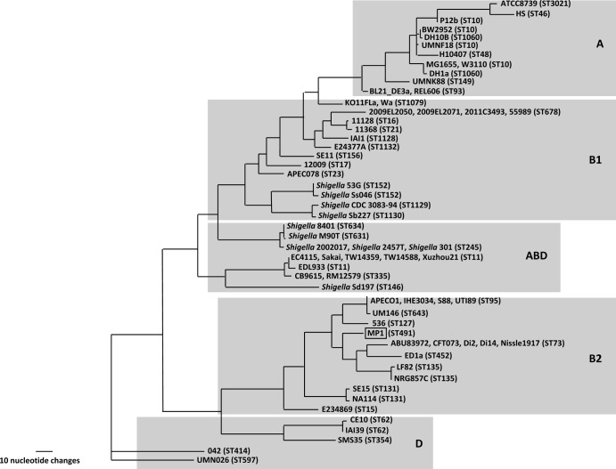 FIG 3