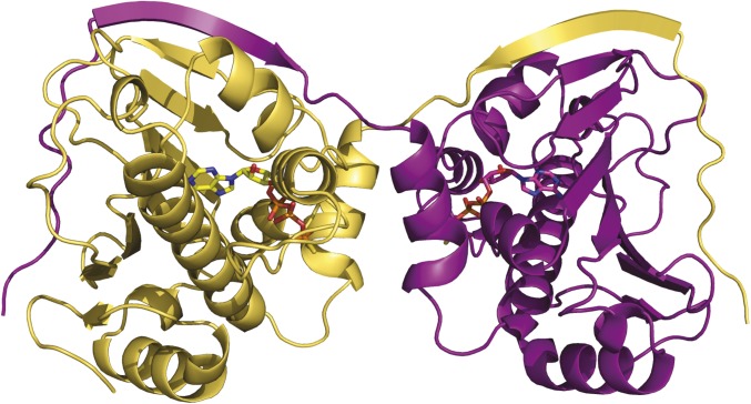 Fig. S3.