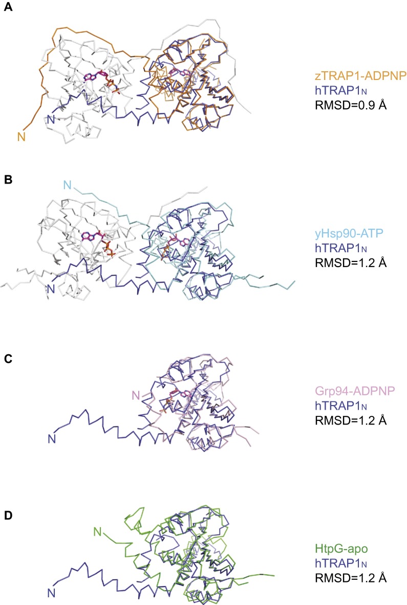 Fig. S5.