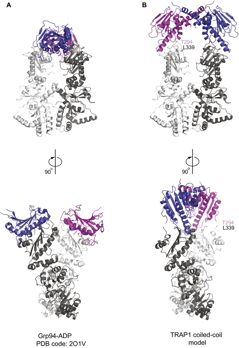 Fig. S6.