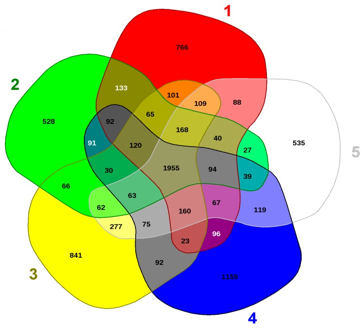 Figure 7