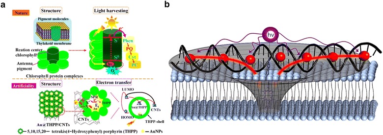 Fig. 3