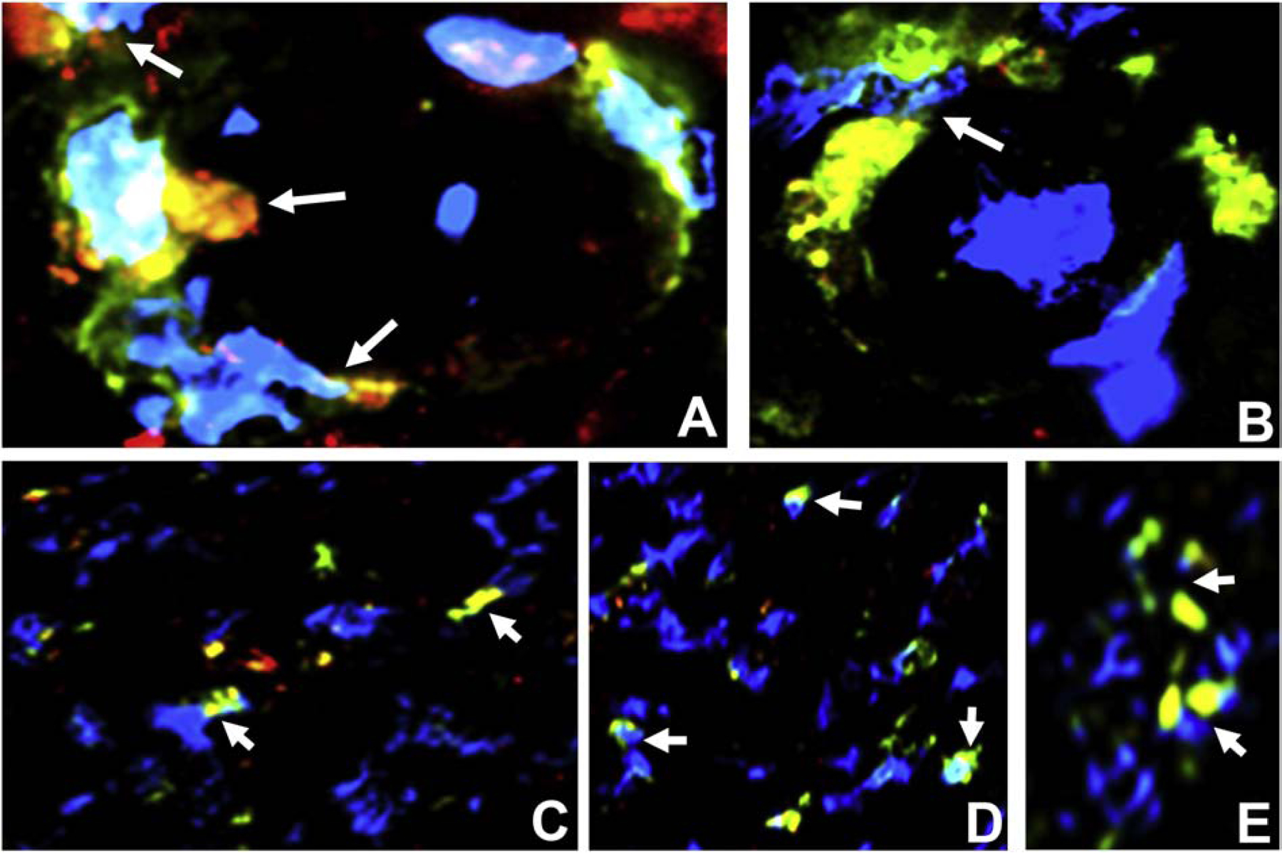 Figure 16.