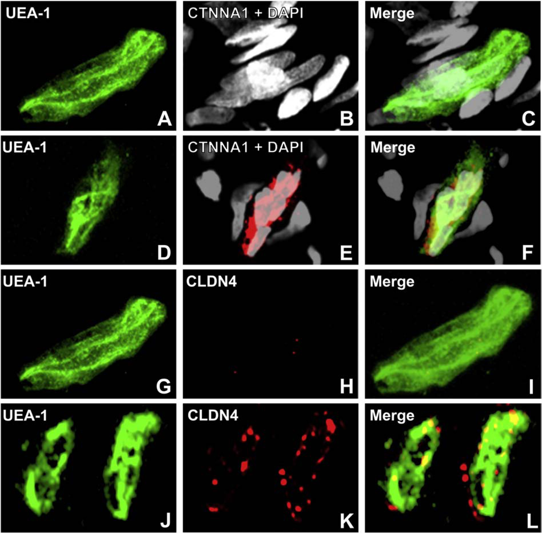 Figure 20.