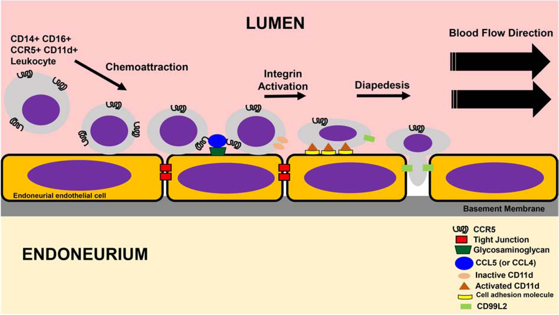 Figure 19: