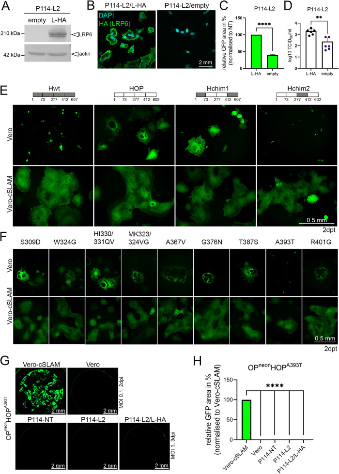 FIG 3