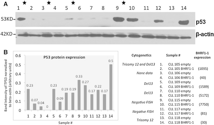 Fig. 6