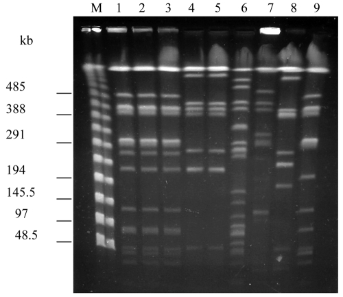 FIG. 2.