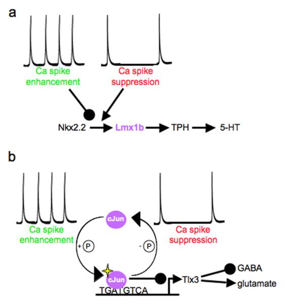 Figure 5