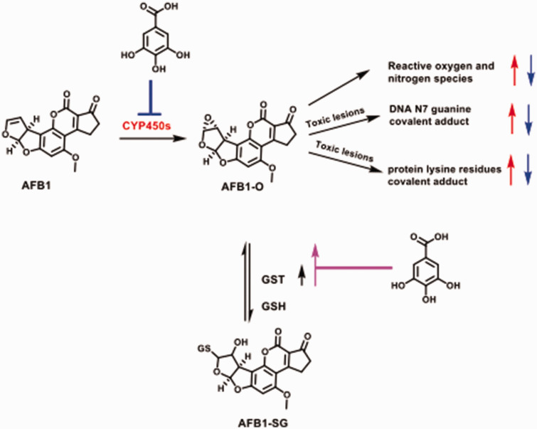 Figure 12.