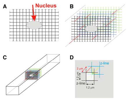 FIGURE 3