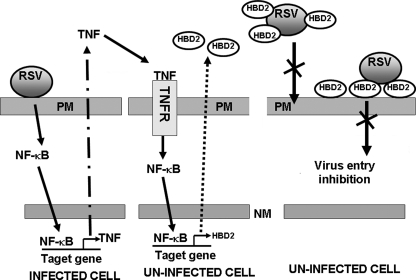 FIGURE 9.