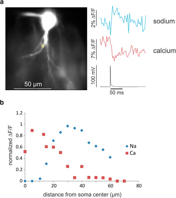 Figure 4.