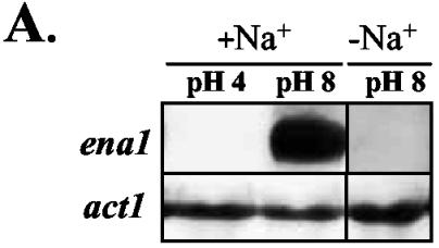 FIG. 6.