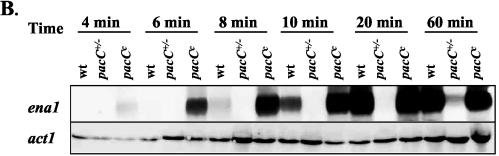 FIG. 6.