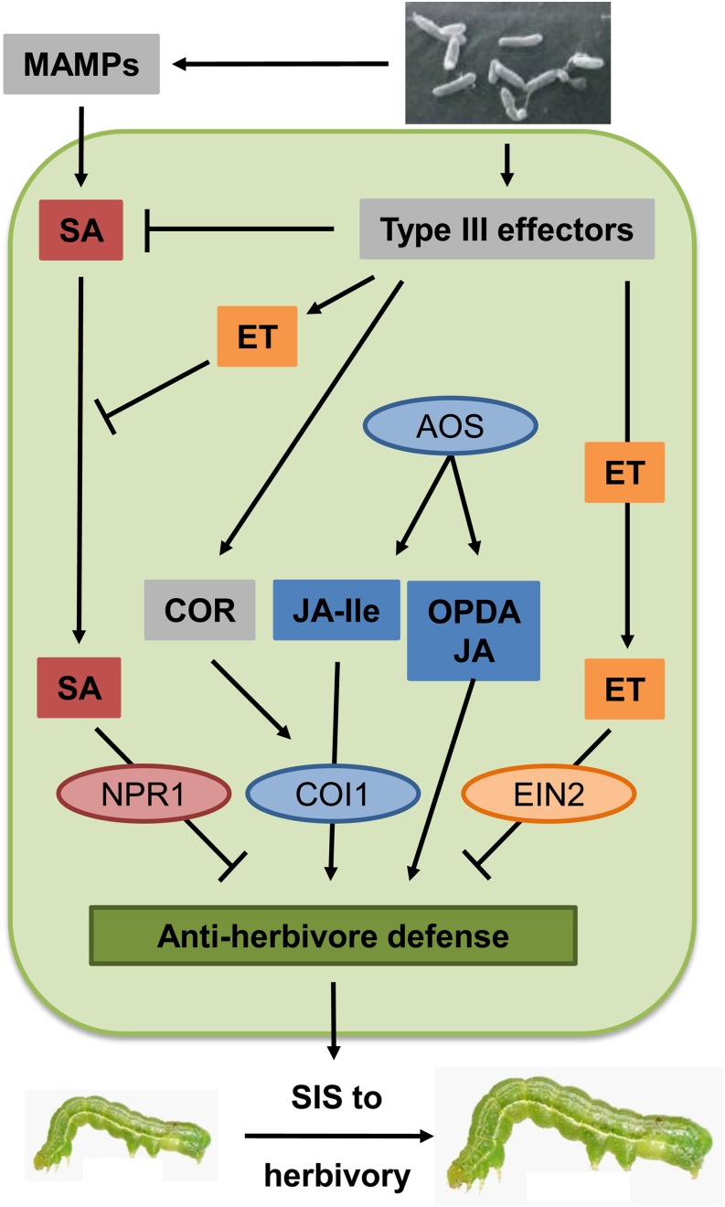 Figure 5.