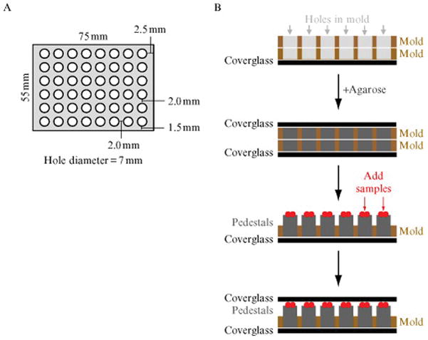 Figure 11.1