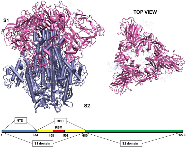 FIGURE 1