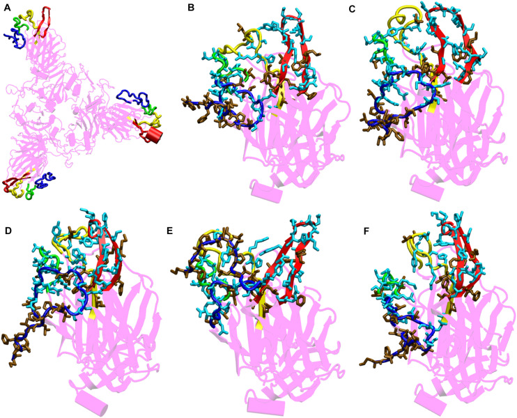 FIGURE 4