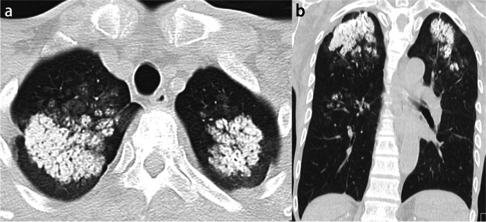 Fig. 9