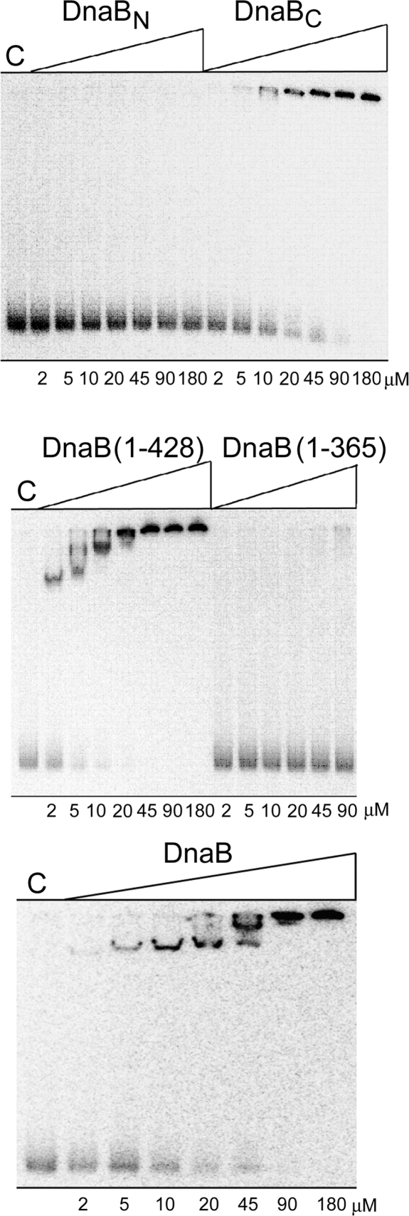 Figure 6.