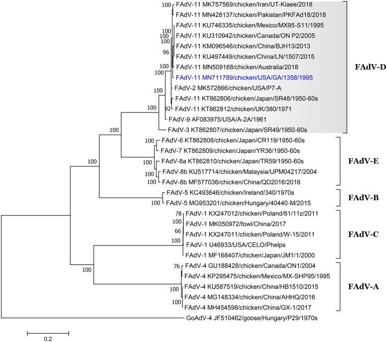 FIG 1